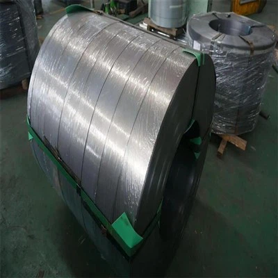 Acero inoxidable 301